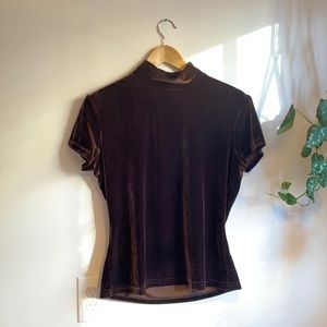 Brown Velvet Short sleeve Blouse